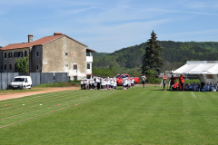 Festivalvrtica17