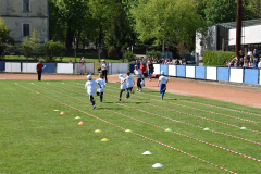 Festivalvrtica23