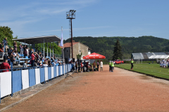Festivalvrtica3