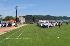 Festivalvrtica5