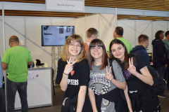 Festivalstrukovnih10