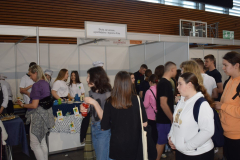 Festivalstrukovnih13
