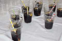 Festivalstrukovnih29