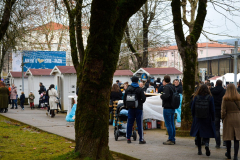 Docek-Pazin-36