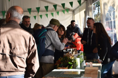 Festival-suma-18