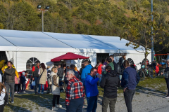 Festival-suma-27