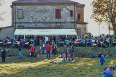Festival-suma-40