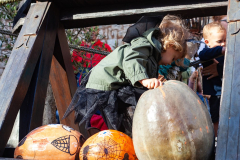 Haloween-Kastel-72
