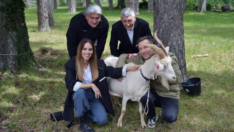 Z-AZZRI-kozice-5