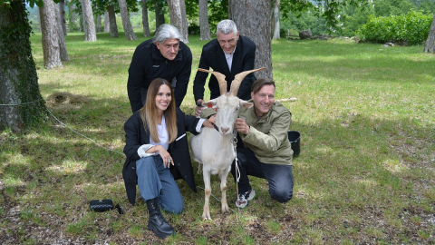 Z-AZZRI-kozice-8