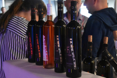 Gracisce-Vinske-price47