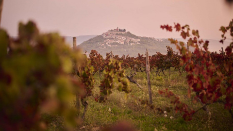 Wine-and-Walk2