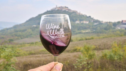 Wine-and-Walk4