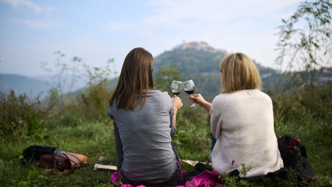 Wine-and-Walk5