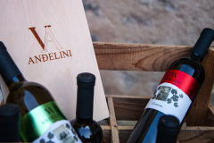 WineMusic-3